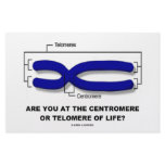 Are You At The Centromere Or Telomere Of Life? Custom Stationery