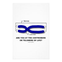 Are You At The Centromere Or Telomere Of Life? Stationery