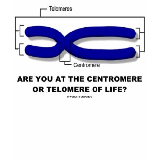 Are You At The Centromere Or Telomere Of Life? shirt