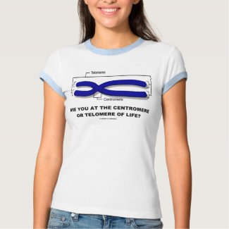 Are You At The Centromere Or Telomere Of Life? shirt