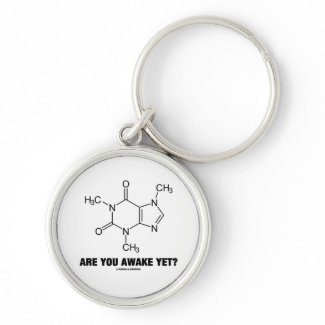 Are You Awake Yet? (Caffeine Molecule Attitude) keychain