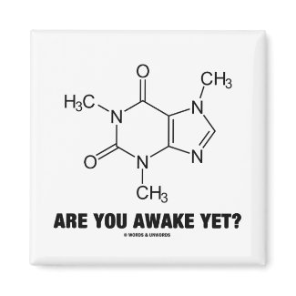 Are You Awake Yet? (Caffeine Molecule Attitude) magnet