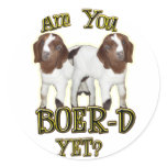 ARE YOU BOER-D YET? BOER GOATS STICKER