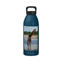 Are You Coming? water bottles