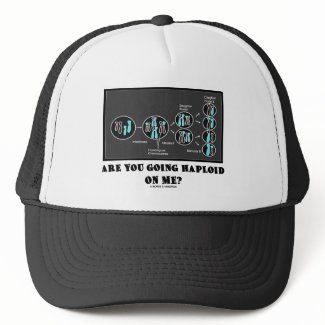 Are You Going Haploid On Me? (Meiosis Humor) hat