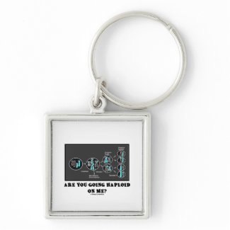 Are You Going Haploid On Me? (Meiosis Humor) keychain
