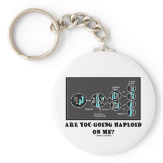 Are You Going Haploid On Me? (Meiosis Humor) keychain