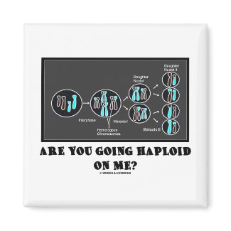 Are You Going Haploid On Me? (Meiosis Humor) magnet