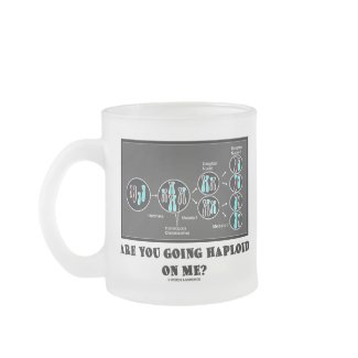 Are You Going Haploid On Me? (Meiosis Humor) mug