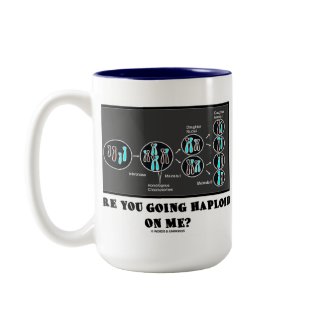 Are You Going Haploid On Me? (Meiosis Humor) mug