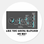 Are You Going Haploid On Me? (Meiosis Humor) Stickers