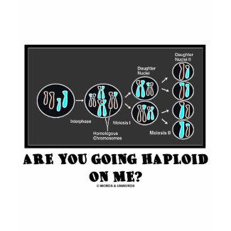Are You Going Haploid On Me? (Meiosis Humor) shirt