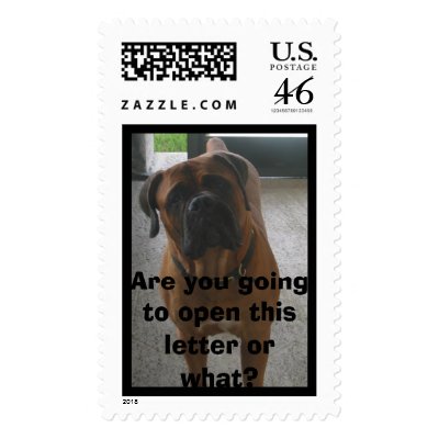 Are you going to open this letter or ... stamp by vwfanatic1980