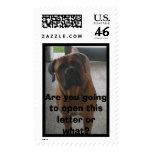 Are you going to open this letter or ... postage