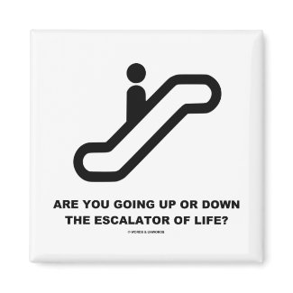 Are You Going Up Or Down The Escalator Of Life? magnet