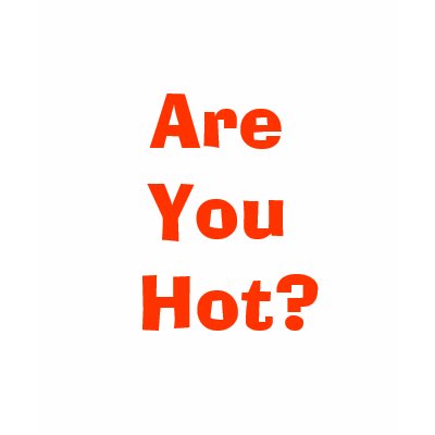 "Are You Hot?" Magic of Eyri Shirt by hoganshop