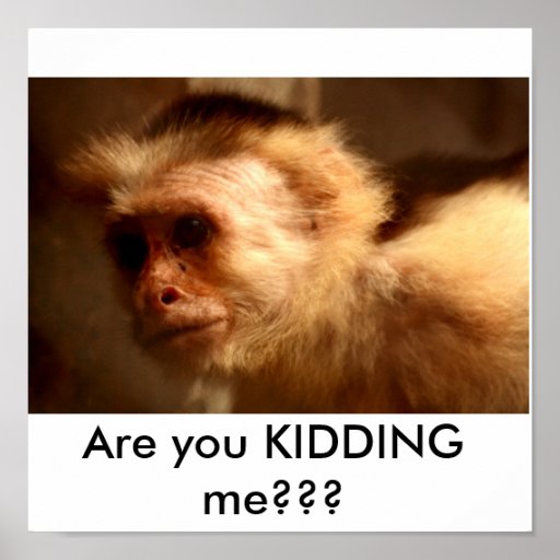 are-you-kidding-me-posters-zazzle