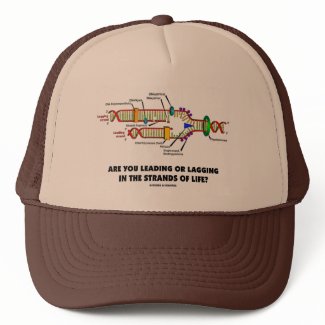 Are You Leading Or Lagging In The Strands Of Life? hat