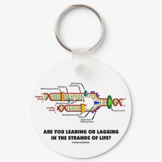 Are You Leading Or Lagging In The Strands Of Life? keychain