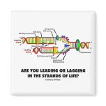 Are You Leading Or Lagging In The Strands Of Life? Magnets