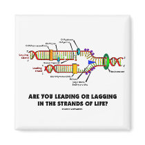 Are You Leading Or Lagging In The Strands Of Life? magnets by wordsunwords Are You Leading Or Lagging In The Strands Of Life? magnets