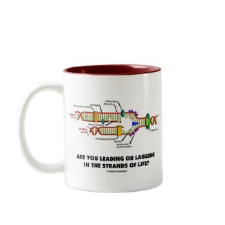 Are You Leading Or Lagging In The Strands Of Life? mug