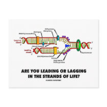 Are You Leading Or Lagging In The Strands Of Life? postcards