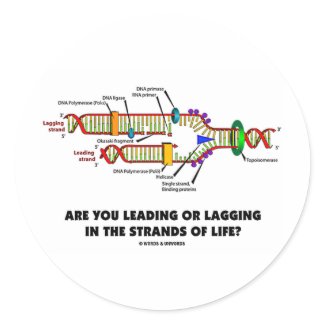Are You Leading Or Lagging In The Strands Of Life? sticker
