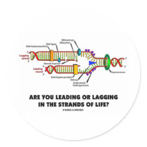 Are You Leading Or Lagging In The Strands Of Life? stickers