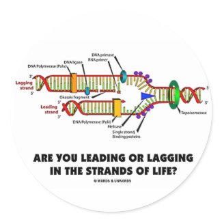 Are You Leading Or Lagging In The Strands Of Life? sticker