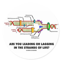 Are You Leading Or Lagging In The Strands Of Life? stickers by wordsunwords Are You Leading Or Lagging In The Strands Of Life? stickers