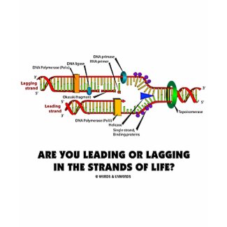 Are You Leading Or Lagging In The Strands Of Life? shirt