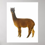 Are you lookin' at me? print