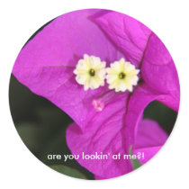 are you lookin' at me?! stickers by pattirm1 are you lookin' at me?! stickers