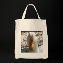 Are you looking at me bags