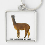 Are you looking at me? keychains