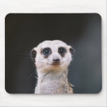 Are you looking at me?  Meerkat Mousepad