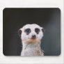 Are you looking at me?  Meerkat Mousepad