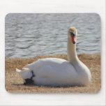 Are you looking at me