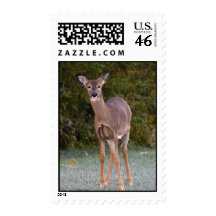 Are You Looking At Me? Postage