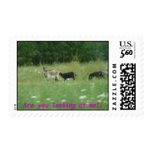 Are you looking at me?! postage
