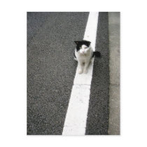 Are you my friend or foe? (Adopt a Pet) postcards by pageandturner Are you my friend or foe? (Adopt a Pet) postcards