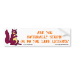 Are you naturally stupid or do you take lessons? bumper sticker