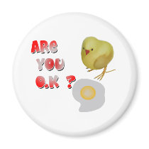 Are you o.k ? magnet