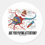 Are You Paying Attention? (Neuron Synapse Humor) Stickers