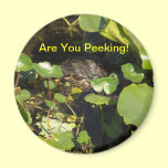 Are You Peeking! magnets