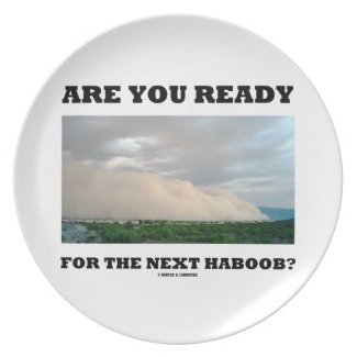 Are You Ready For The Next Haboob? (Dust Storm) Party Plate