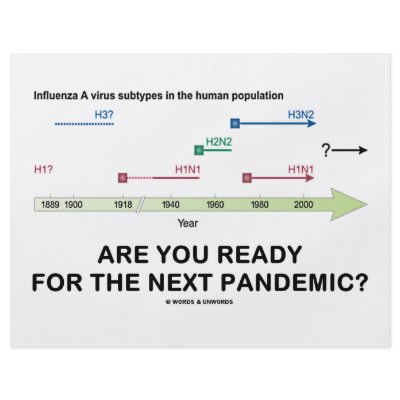 Are You Ready For The Next Pandemic? Custom Flyer by wordsunwords