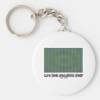 Are You Seasick Yet? (Motion Illusion) Key Chain