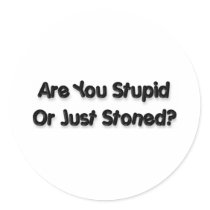 Are you stupid stickers